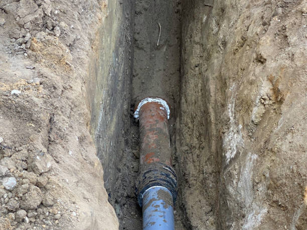 Best Sewage cleanup and water damage restoration  in Mount Angel, OR