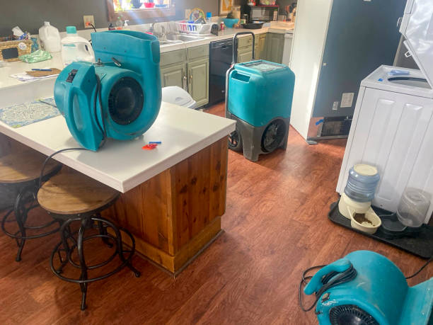 Best 24/7 water damage repair  in Mount Angel, OR