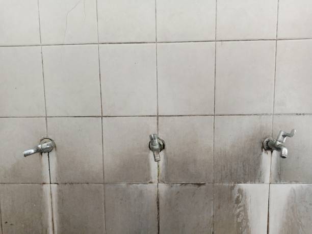 Best Ceiling water damage repair  in Mount Angel, OR